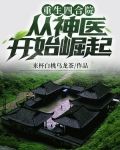 重生四合院:从神医开始崛起