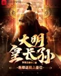 大明皇长孙!