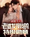 离婚当天,老婆发现我的特级勋章
