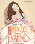 女团驾到:龙总的绝美小甜心