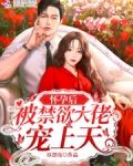 怀孕后被禁欲大佬宠上天