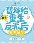 穿书:替嫁给重生反派后离不掉了