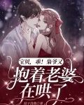 宝贝,乖!枭爷又抱着老婆在哄了
