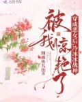 穿成恶女后,冷冰冰战神被我惊艳了