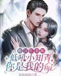 糙汉红着眼低吼小知青你是我的命