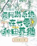 小知青带网游系统在七零种田养鹅