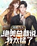 离婚当天,绝美总裁说我太猛了