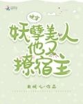 快穿:妖孽美人他又撩宿主