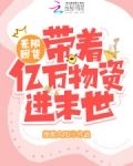 无限囤货:带着亿万物资进末世