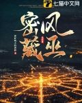 风巫密藏