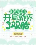 穿越70年代开局就怀了双胎