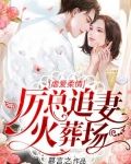 虐爱柔情：厉总追妻火葬场