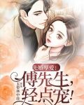 先婚厚爱：傅先生，轻点宠！