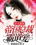双宝嚣张:帝国总裁霸道宠