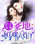 护夫狂妻:爹地,妈咪A炸了!
