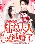 亿万溺宠:陆总,夫人又逃婚了