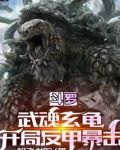 斗罗:武魂玄龟,开局反甲暴击