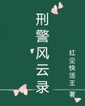 刑警风云录