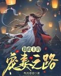 摄政王的宠妻之路