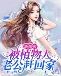 新婚夜,被植物人老公赶回家