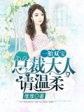 一胎双宝:总裁大人,请温柔