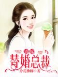 我们相爱吧:错嫁替婚总裁