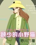 顾少的小野猫