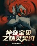 神奇宝贝之精灵契约