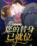 金主大人,您的替身已就位