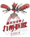 精灵宝可梦之九州联盟