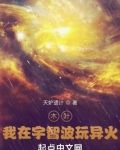 木叶:我在宇智波玩异火