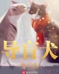 导盲犬的一生