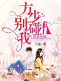 宠妻成瘾：方少别碰我