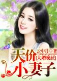 大婚晚辰,天价小妻子