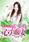 盛爱成婚:霍少的心尖暖妻