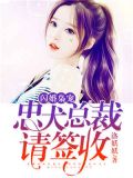 闪婚枭宠:忠犬总裁请签收