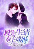段先生,请奉子成婚