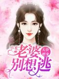 天价婚宠:老婆别想逃
