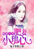 暖婚八零:肥妻小甜心