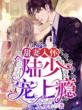 甜妻入怀:陆少,宠上瘾!
