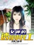 女神的透视小民工