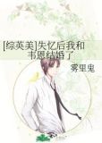 [综英美]失忆后我和韦恩结婚了