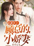 总裁在上:顾总的小娇妻