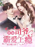 错嫁:司爷霸爱上瘾