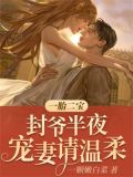 一胎二宝,封爷半夜宠妻请温柔