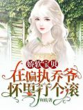 娇软宝贝:在偏执乔爷怀里打个滚
