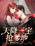 天降三宝抢爹地安以甜陆北宸