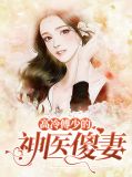 高冷傅少的神医傻妻乔思沐傅卓宸