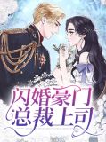 闪婚豪门总裁上司