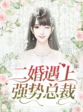 二婚遇上强势总裁林苒柒祁煜韫